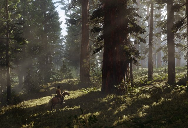 Анализируем новые скриншоты из игры Red Dead Redemption 2
