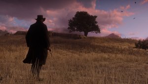 Red Dead Redemption 2 скриншот 161