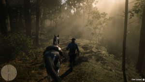 Red Dead Redemption 2 скриншот 138