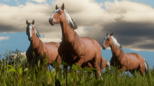 Захват и укрощение диких лошадей поможет сэкономить на деньгах